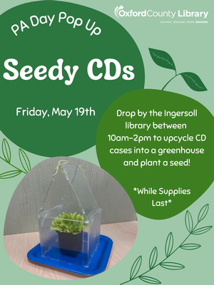ING-PA Day Seedy CDs